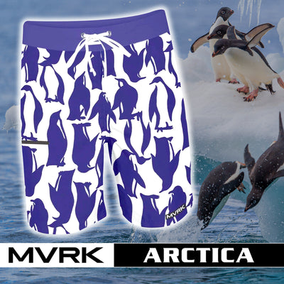 Arctica